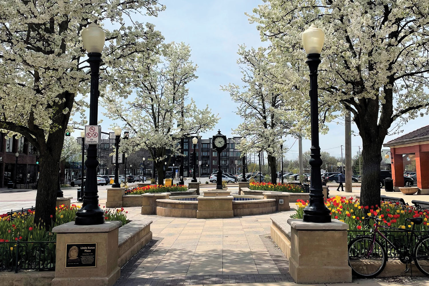 therapist in downers grove il